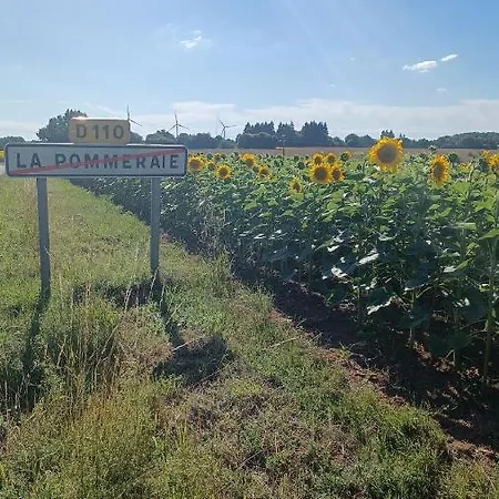 9 Guests - Pet Friendly In Rural West France *