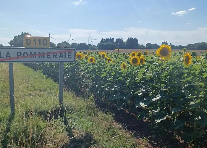 9 Guests - Pet Friendly In Rural West France * Clussais-la-Pommeraie